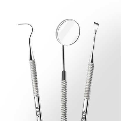 OCBA Plaque Remover Kit (4 Pcs)